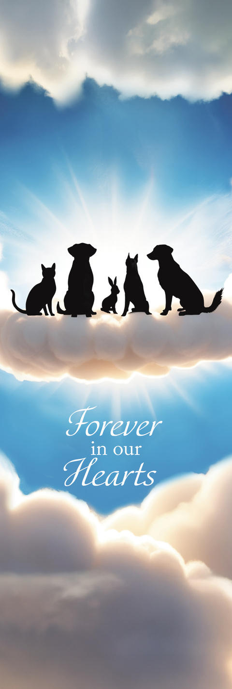 Pets in Heaven