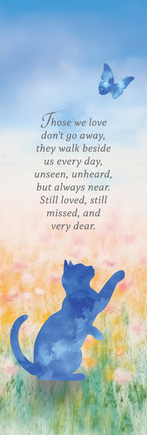 Cat & Butterfly
