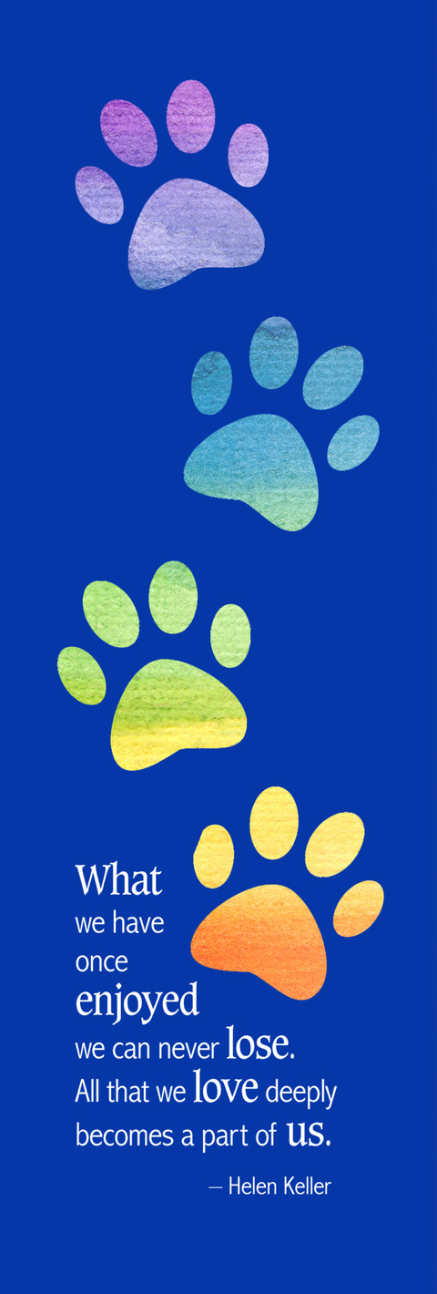 Rainbow Paws